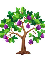 Every Tree Is Known by Its Fruit, Mass Preparation Sunday, March 2, 2025