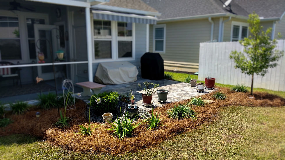 Blade Runners Lawn Care Services Landscapes Tallahassee, FL, USA