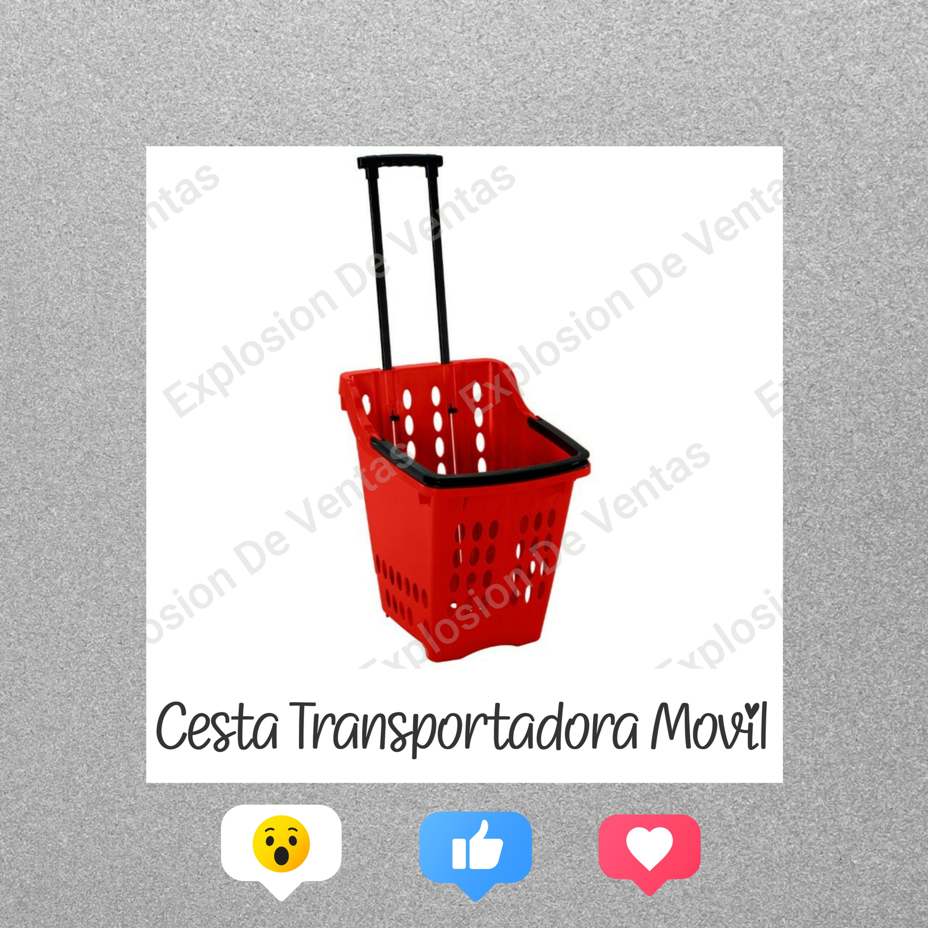 Cestas Transportadoras Moviles