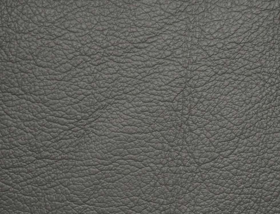 Primavera Primo Graphite