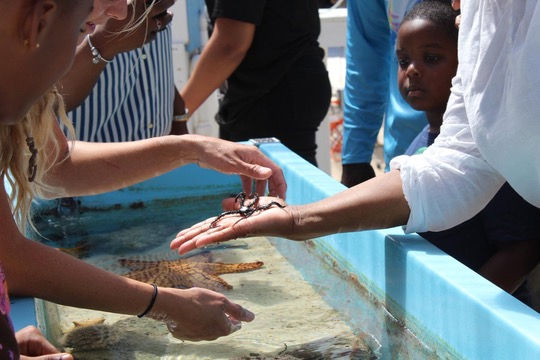 Conservation Cove's Community Day 2025 Unites Grand Bahama for Ocean Conservation