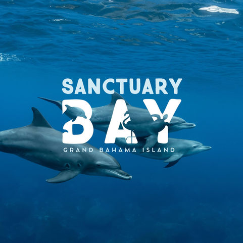UNEXSO, a leading tourism company in Grand Bahama, sought to reposition its brand to reflect a commitment to sustainability and eco-tourism. The rebrand to Sanctuary Bay focuses on offering immersive wildlife experiences in natural habitats, promoting conservation and environmental education. We developed a new logo, cohesive brand messaging, and visual identity to align with eco-conscious values. A redesigned website was also created to showcase the new brand positioning, providing a seamless, visually engaging experience that reflects the brand’s fresh look and feel. The rebranding has successfully positioned the company as a leader in eco-tourism.