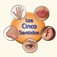 LOS CINCO SENTIDOS.gif