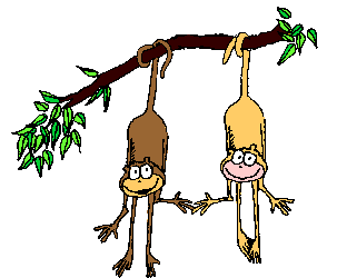 monos divertidos.gif