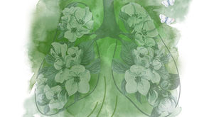Thoracic Park 2.