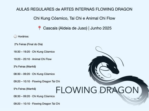 AULAS REGULARES de ARTES INTERNAS FLOWING DRAGON Junho 2025