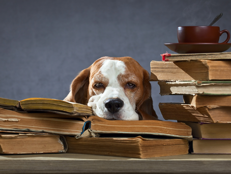 Sessiz İstifa Gerçek mi? – Hilal Vonal