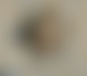 şirket çalışanı