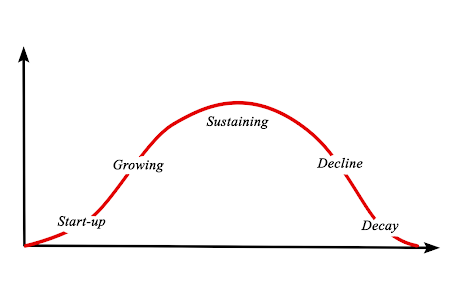 Understanding the Corporate Life Cycle
