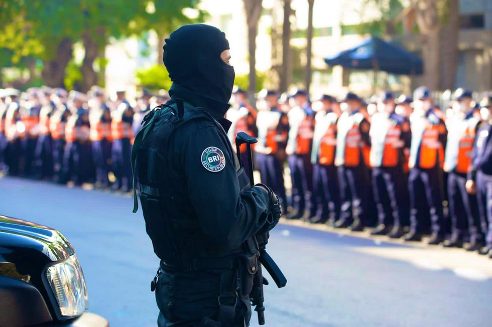BRI: les Brigades Régionales d'Intervention