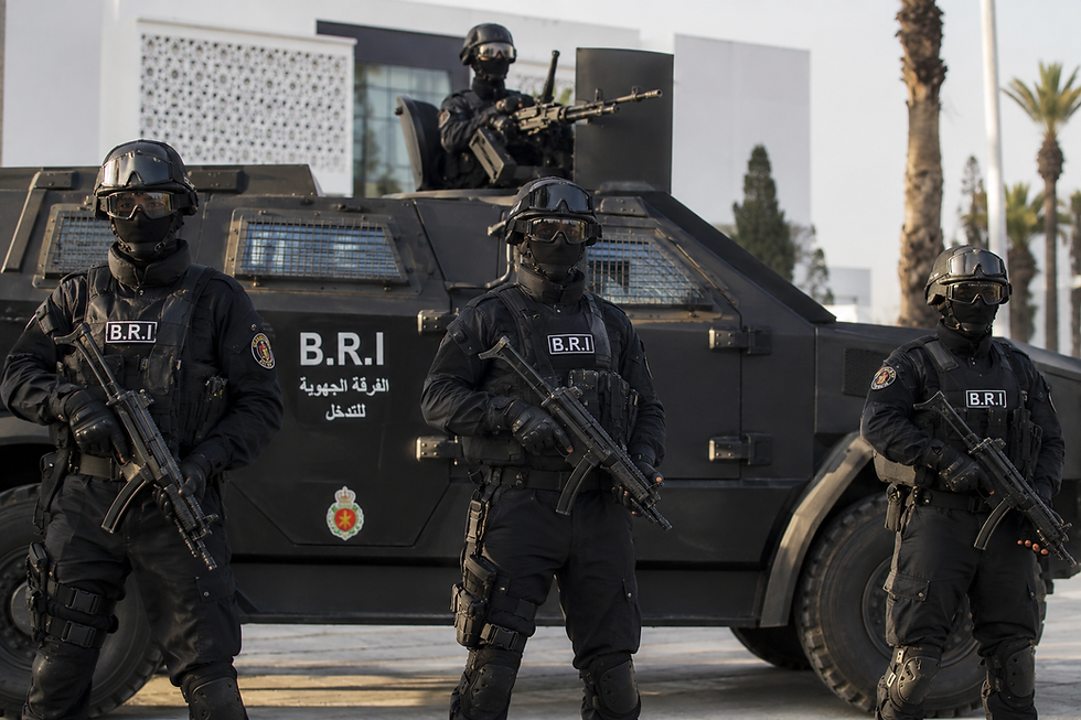 BRI: les Brigades Régionales d'Intervention