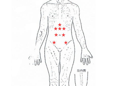 “病気に負けない体を作る” #1