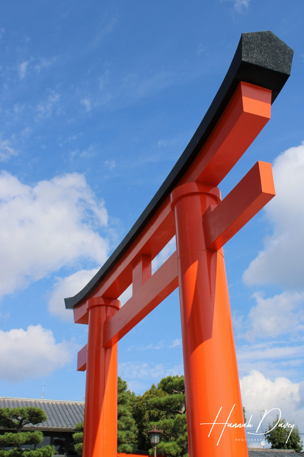 Kyoto temple of a thousand gates 2 Hannah Davey Photography
