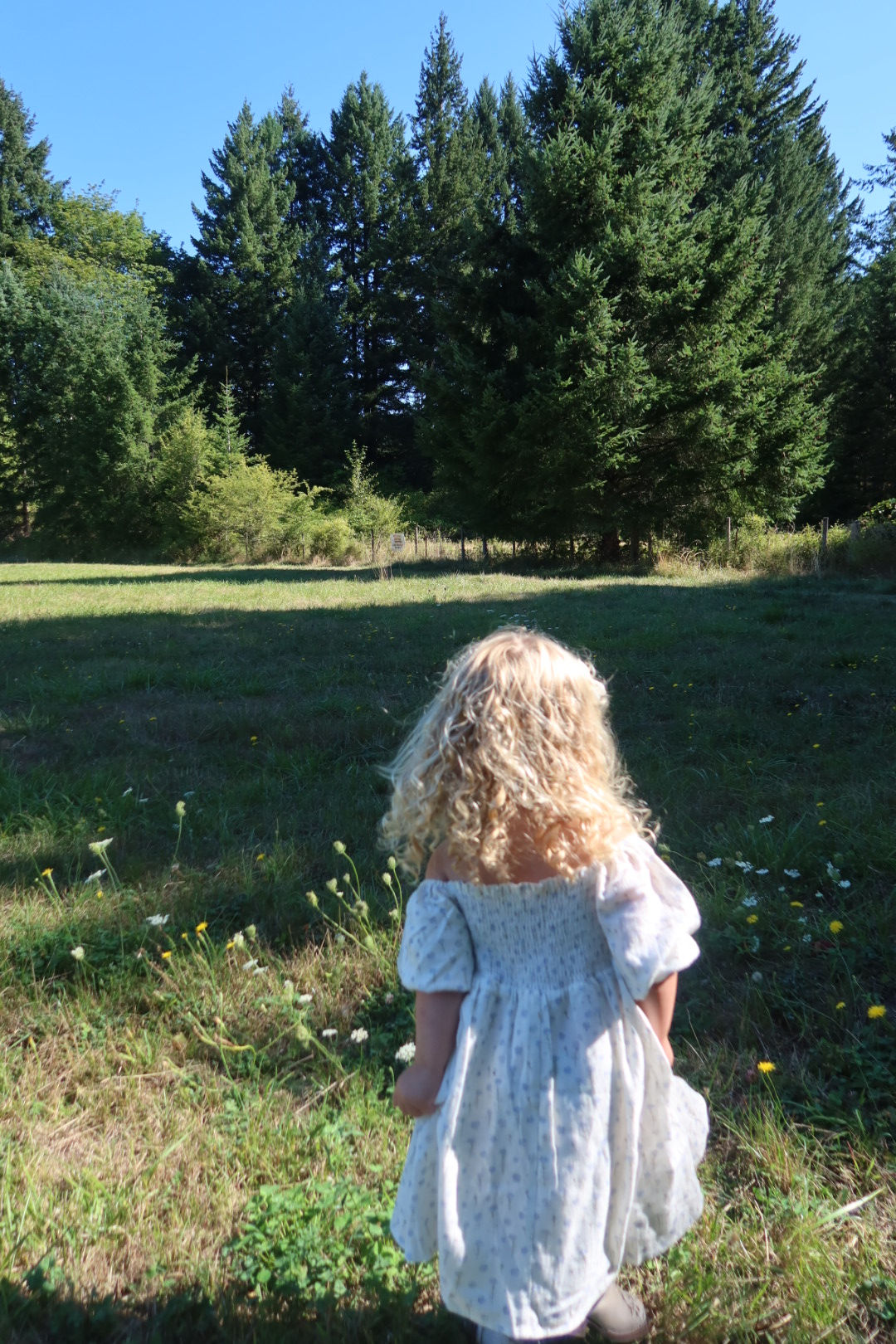 little girl in blue floral shirred puff sleeve dress frolicking in a feild