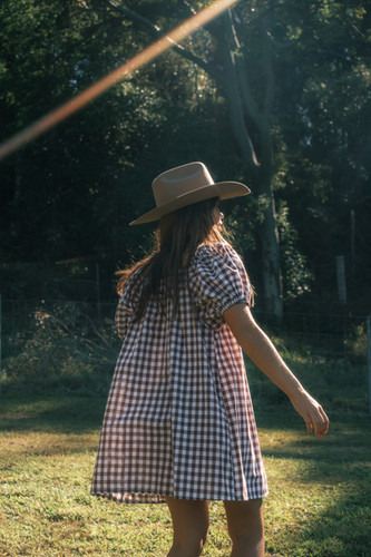 show me your mumu brown gingham dress Show Me Your Mumu Aria Maxi Dress