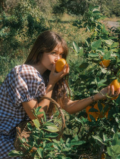 The Ranch - '25 Winter Collection