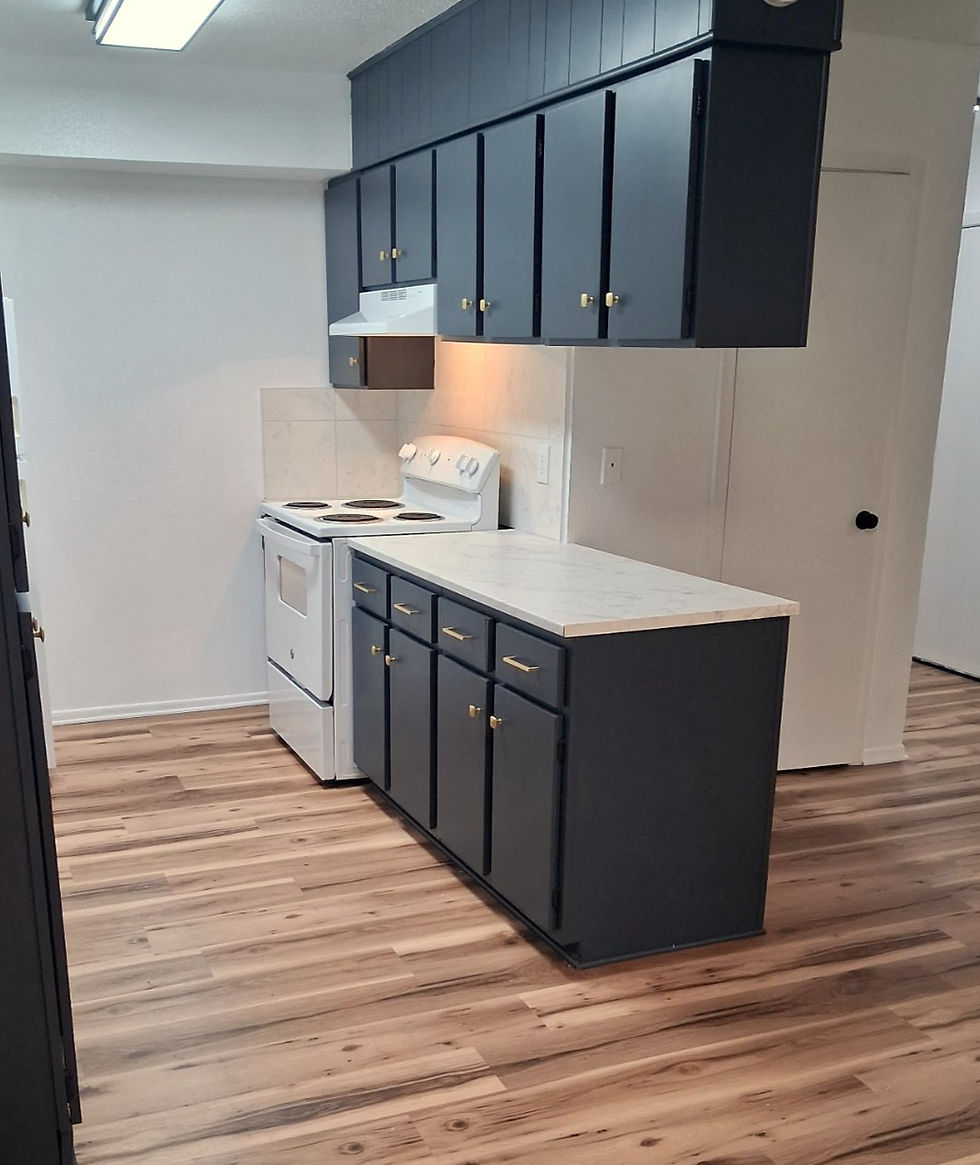 Kitchen galley
