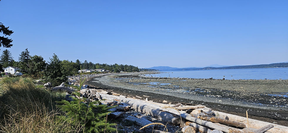 WhatsApp Image 2025-09-04 at 15.31.30 (4).jpeg