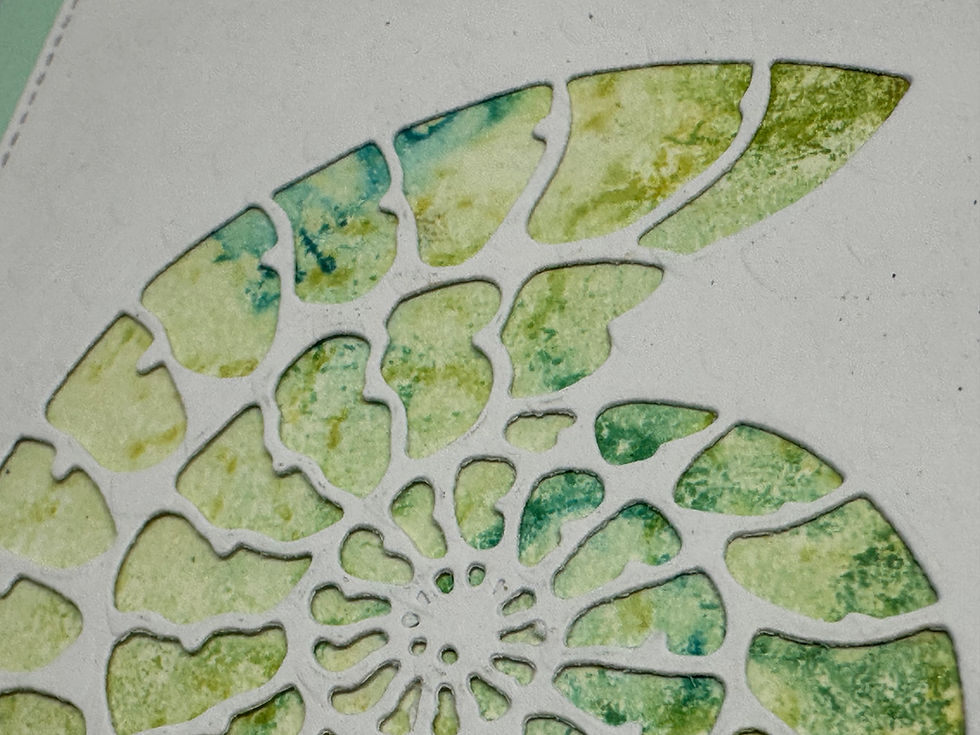 Thumbnail: Nautilus Lime Greeting Card