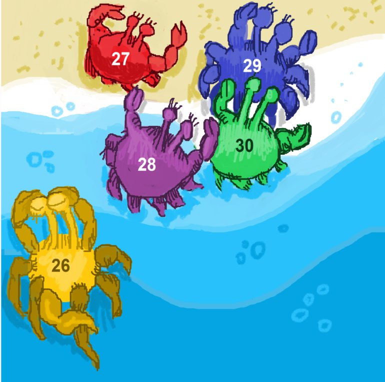 more crabs!