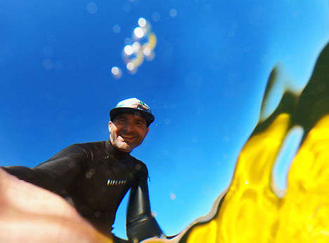 TM_Surf.png