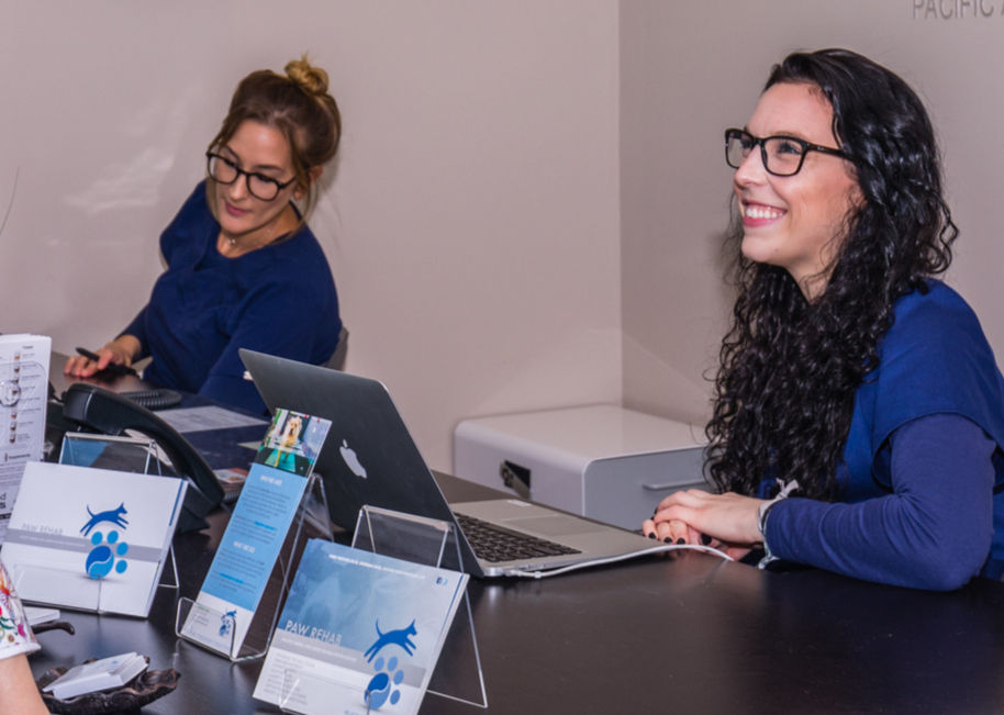 Paw Rehab_Print 436_edited_edited