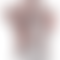 Muscles of the posterior shoulder