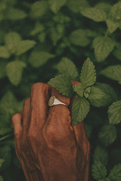 Plant Personalities_ How Growing Plants Deepened My Relationship With Them _ Herbal Academ