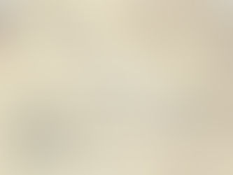 วิเคราะห์เรื่องน่าเบื่อใน WTO ที่สำคัญพอ ๆ กับการเจรจาหรือการระงับข้อพิพาท