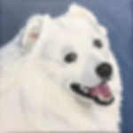 IMG_2442 2.jpeg