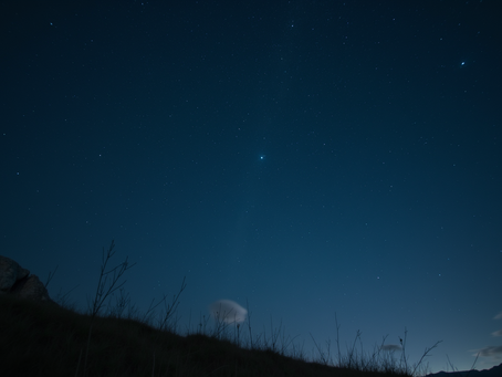 Career Guidance Through Astrology: Find Your True Path