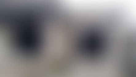 Nora's Home Project: From Dirt to Palace