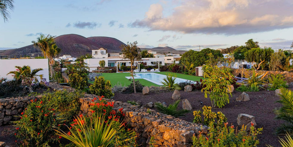longboard retreat camp surf yoga fuerteventura canary island lotfi lamaali