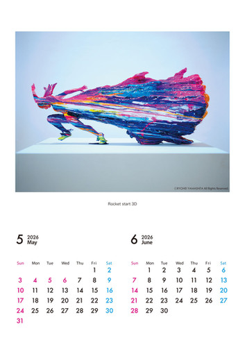 ゲリラセール　新品未使用　横浜銀蝿　直筆サイン入り　2021年　カレンダー　額付 新品未使用 横浜銀蝿 直筆サイン入り 2021年 カレンダー 額装付き 2025年