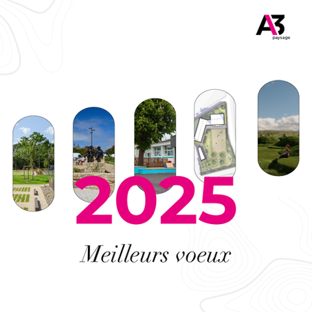 Meilleurs Vœux 2025 !🎉