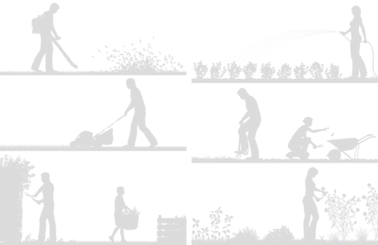 wmremove-transformed__3_-removebg-previe