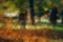 people-operating-heavy-duty-leaf-blower.jpg