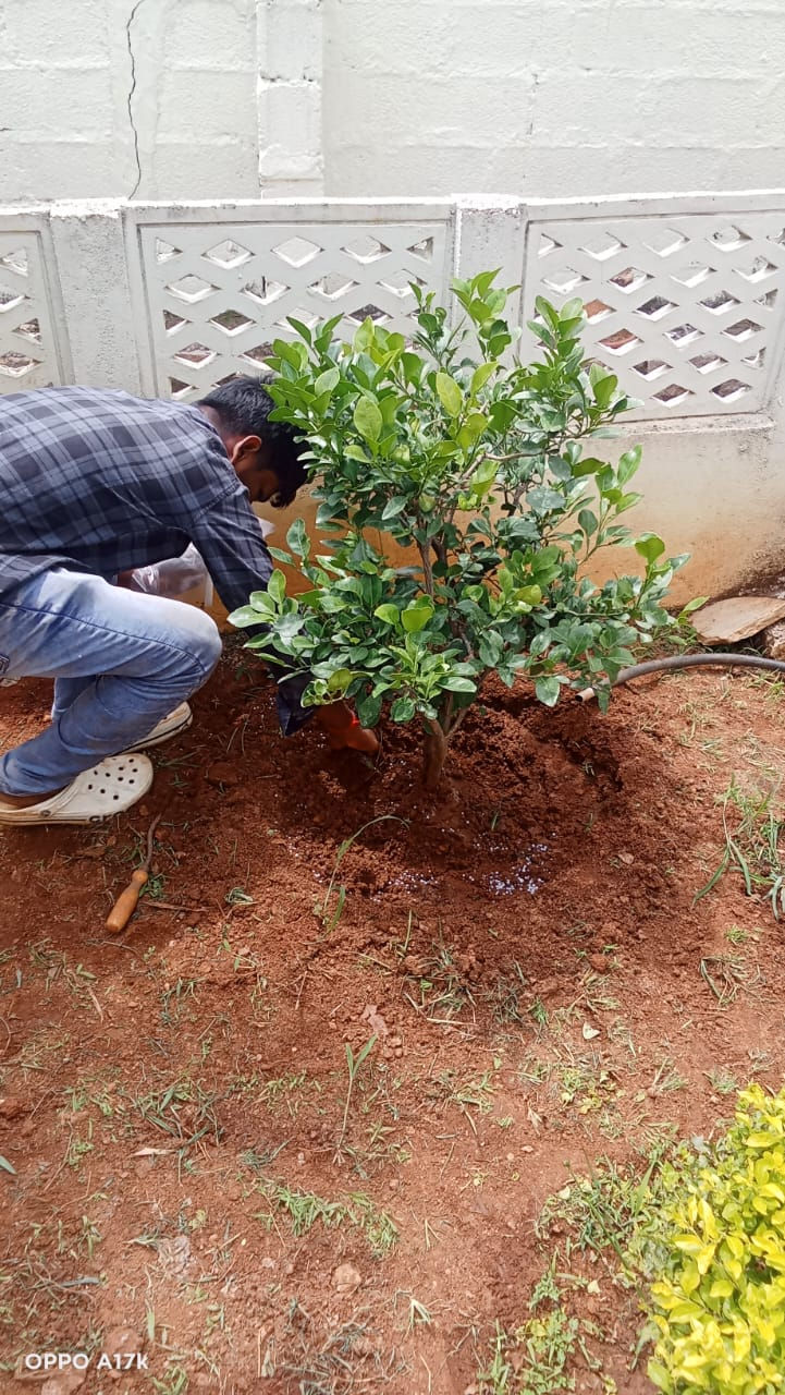 Thumbnail: Garden Services 1 Day