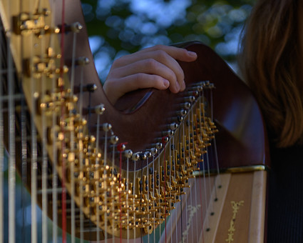 Harp-112.jpg