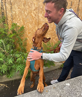 Growing the bond through mantrailing - dog owner shares embrace with viszla