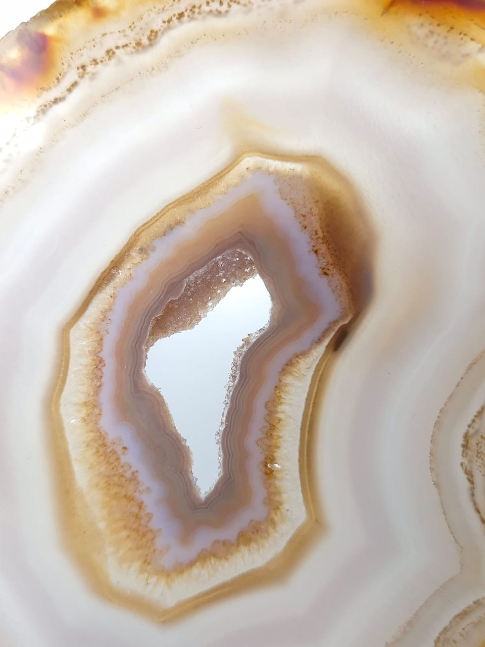 Thumbnail: Natuurlijke agaatvlinder op zwarte standaard