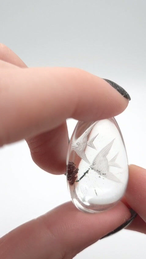 Thumbnail: Vissen carving in lodoliet