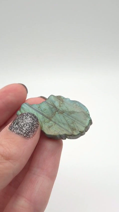 Thumbnail: Goudvis carving van full flash labradoriet groen