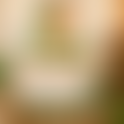 Start Your Day Right: The Healing Power of Lemon, Ginger & Honey