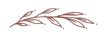 08DB35C3-06E9-424B-9113-5419A0DE4CA8_edi