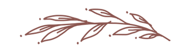 08DB35C3-06E9-424B-9113-5419A0DE4CA8_edi