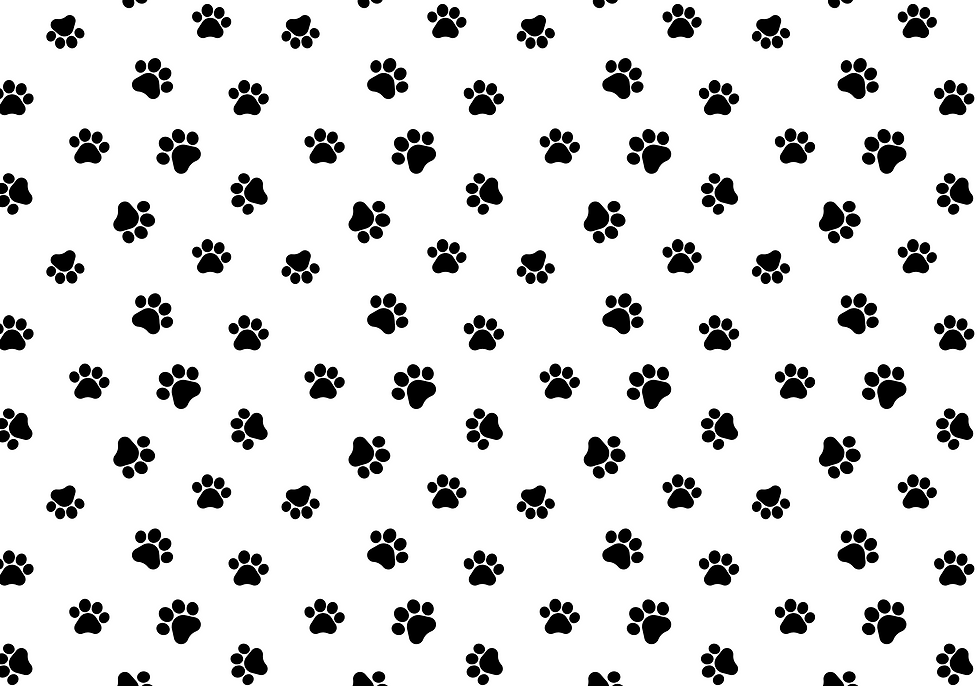 paws-6757808.png