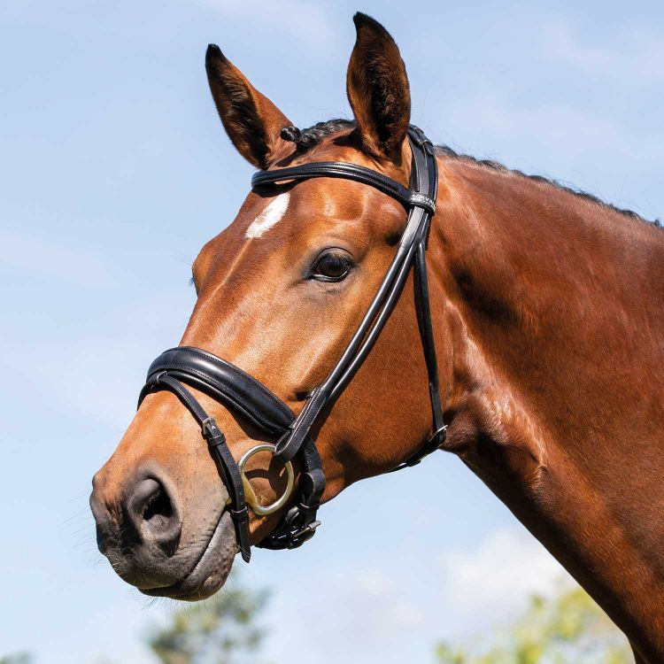 Acavallo bridle Fornarina