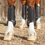 Thumbnail: Carbon Tech Air Flex Eventing Boots 