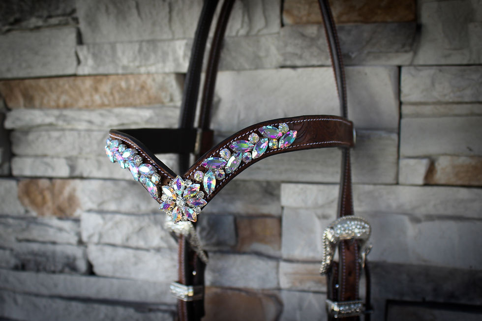 Miniatúra: DMR Headstall Wynn